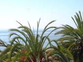 Sea Views Sea Views